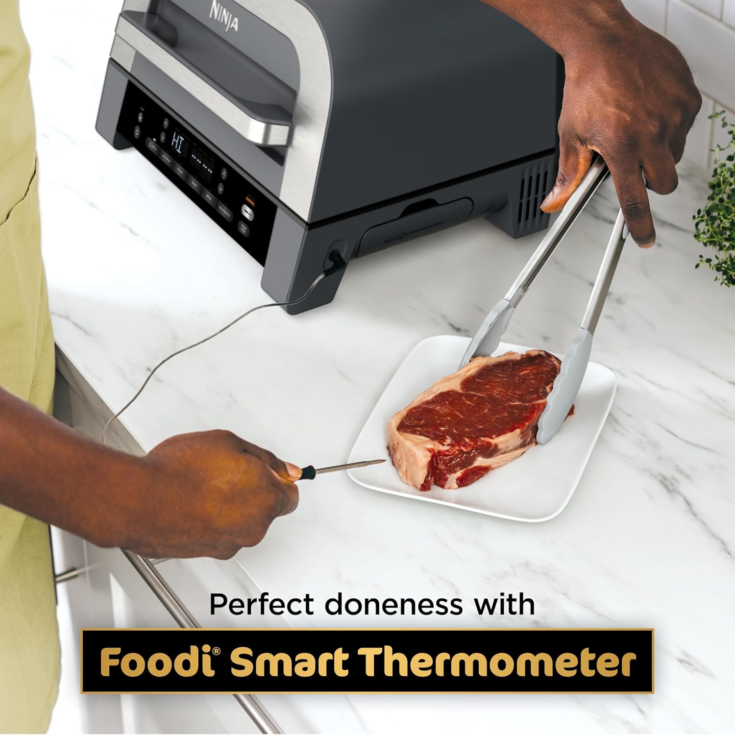 Ninja DG551 Foodi Smart XL 6-in-1 Indoor Grill